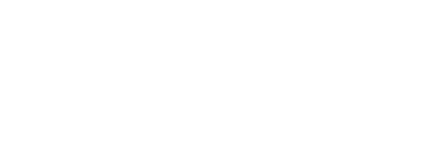 XyVerse